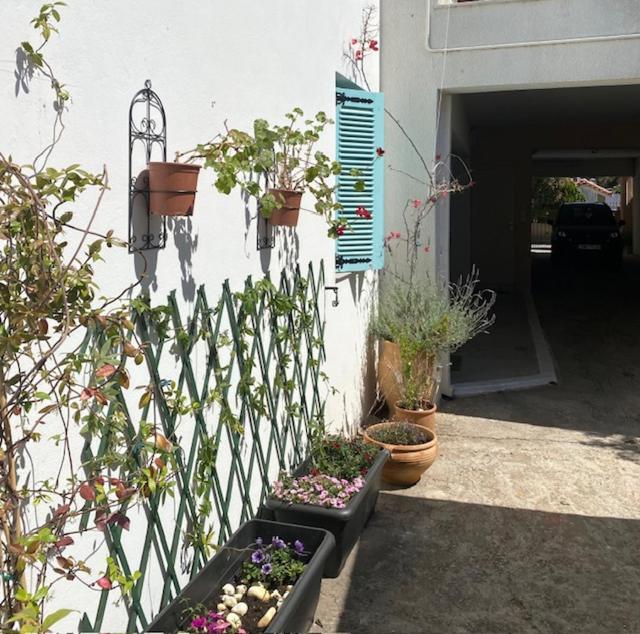 Spata Lykourgos Homes Екстер'єр фото